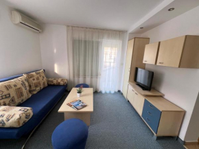 Apartment Hrizantema